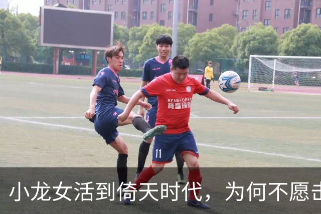 小龙女活到倚天时代，为何不愿击杀成昆？你看成昆见了小龙女要叫什么