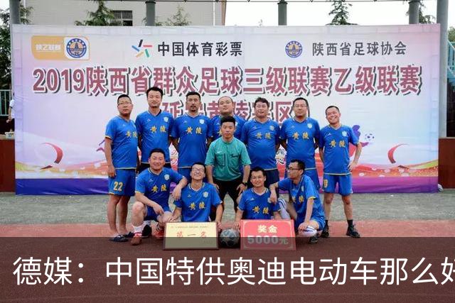 德媒：中国特供奥迪电动车那么好，为什么我们买不到