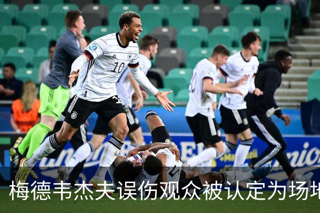 梅德韦杰夫误伤观众被认定为场地内鲁莽击球，因此直接判负