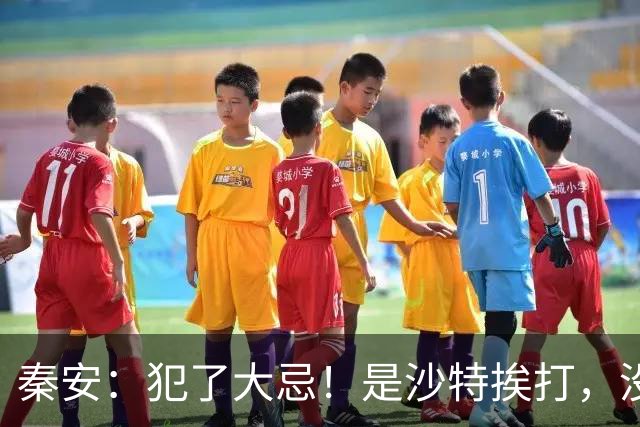 秦安：犯了大忌！是沙特挨打，没人挽救的原因。